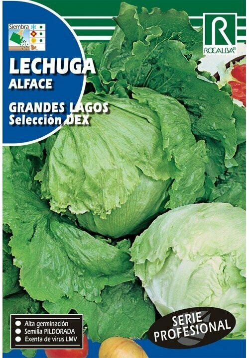 HORTALIZAS PROFESIONAL LECHUGA GRANDES LAGOS SELECCION DEX HORTALIZAS PROFESIONAL LECHUGA GRANDES LAGOS SELECCION DEX