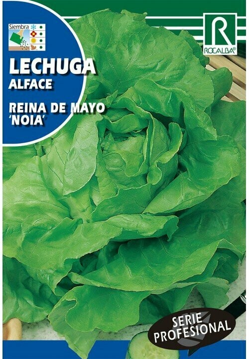 HORTALIZAS PROFESIONAL LECHUGA REINA DE MAYO "NOIA"