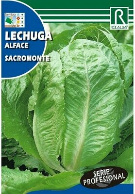 HORTALIZAS PROFESIONAL LECHUGA SACROMONTE