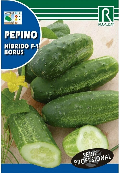 HORTALIZAS PROFESIONAL PEPINO HIBRIDO F-1 BORUS