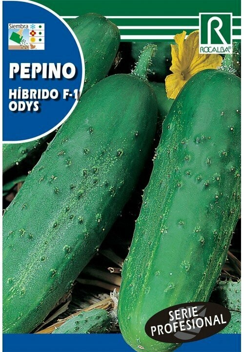 HORTALIZAS PROFESIONAL PEPINO HIBRIDO F-1 ODYS