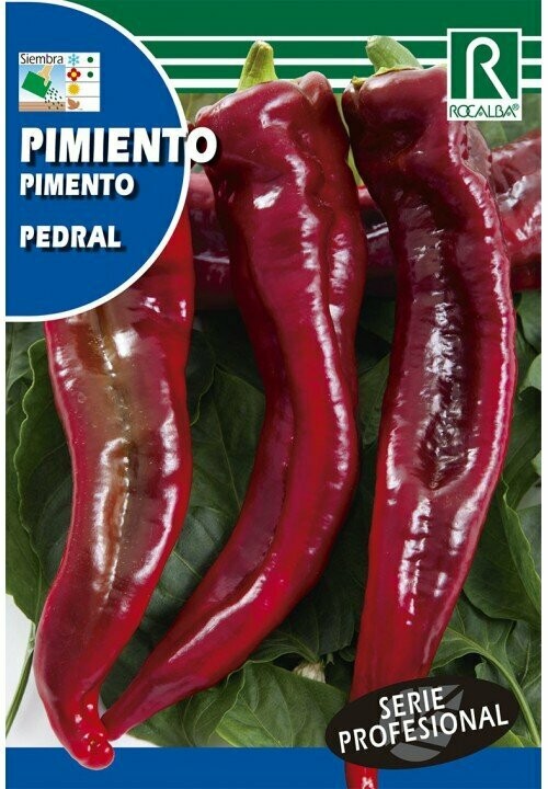 HORTALIZAS PROFESIONAL PIMIENTO PEDRAL