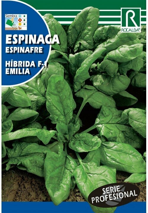 HORTALIZAS PROFESIONAL ESPINACA HIBRIDA F-1 EMILIA