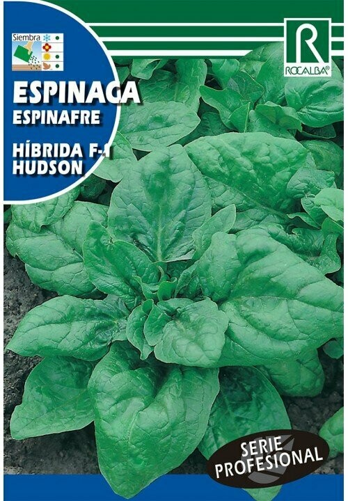 HORTALIZAS PROFESIONAL ESPINACA HIBRIDA F-1 HUDSON
