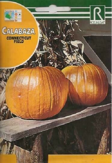 CALABAZA CONNECTICUT FIELD