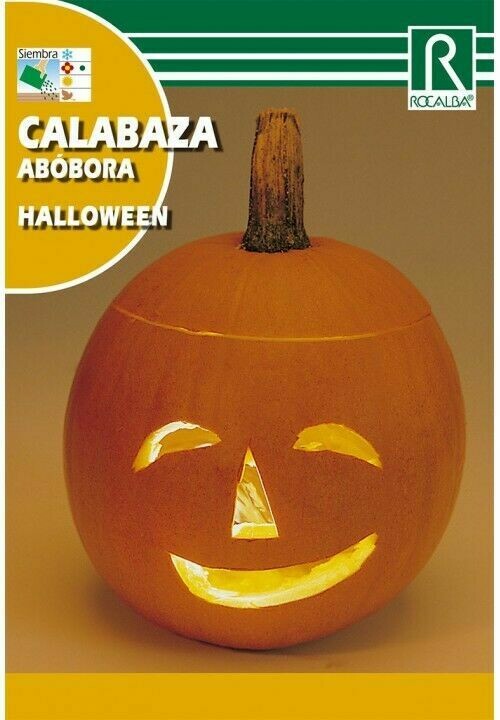 CALABAZA HALLOWEEN