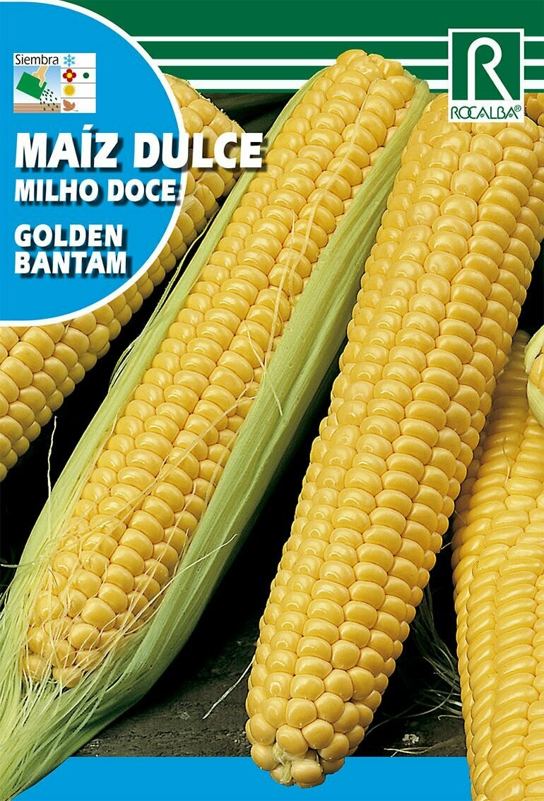 HORTALIZAS MAIZ DULCE GOLDEN BANTAM