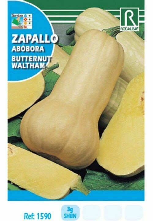 HORTALIZAS ZAPALLO BUTTERNUT WALTHAM