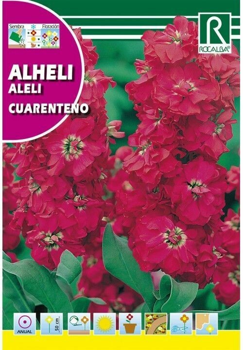 FLORES ALHELÍ CUARENTENO ANUAL DOBLE ROJO