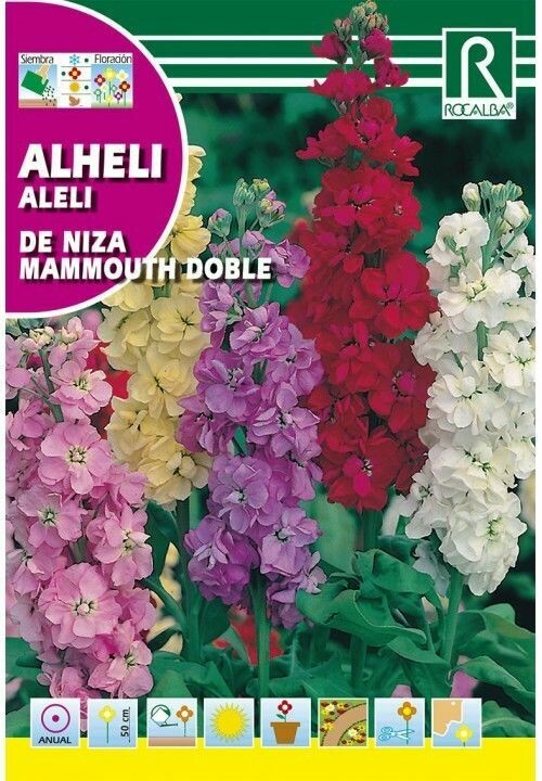 FLORES ALHELÍ DE NIZA MAMMOUTH DOBLE VARIADO