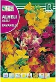 FLORES ALHELÍ RAVANELLE VARIADO