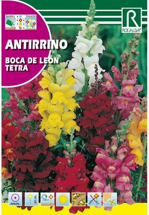 FLORES ANTIRRINO BOCA DE LEÓN TETRA VARIADO