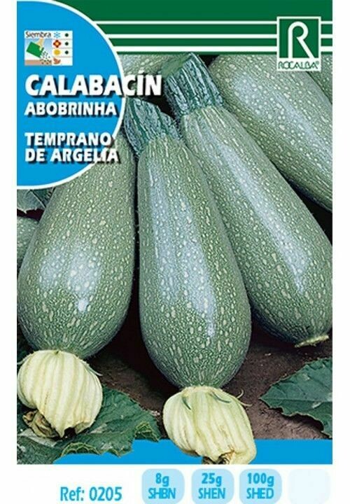HORTALIZAS CALABACIN TEMPRANO DE ARGELIA