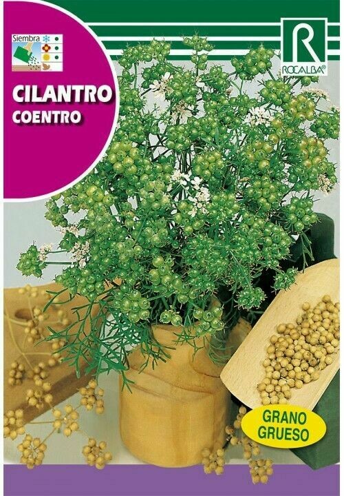 MEDICINALES, AROMATICAS Y CULINARIAS CILANTRO