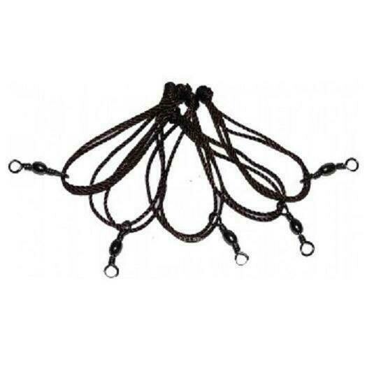 BRAGUERO 6 BRAGUEROS SILVESTRISMO