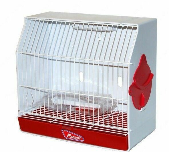 Jaula Concurso de Exposición de Canario PEDROS