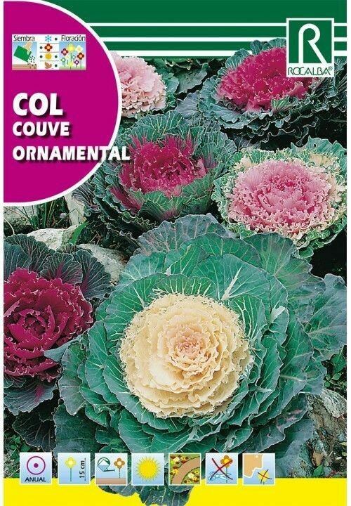 FLORES COL ORNAMENTAL VARIADA FLORES COL ORNAMENTAL VARIADA
