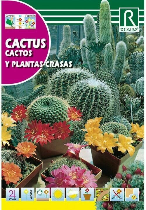 FLORES CACTUS