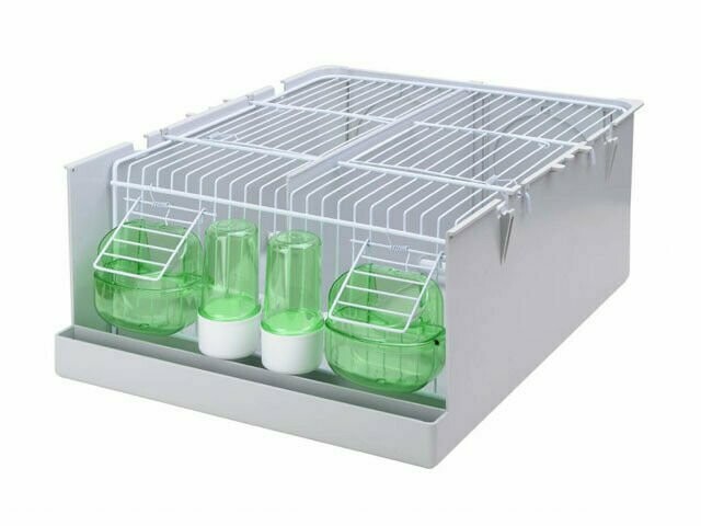 Interior Completo para Tino