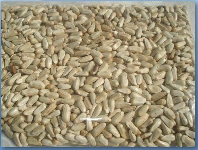 CARTAMO 200 GR A GRANEL