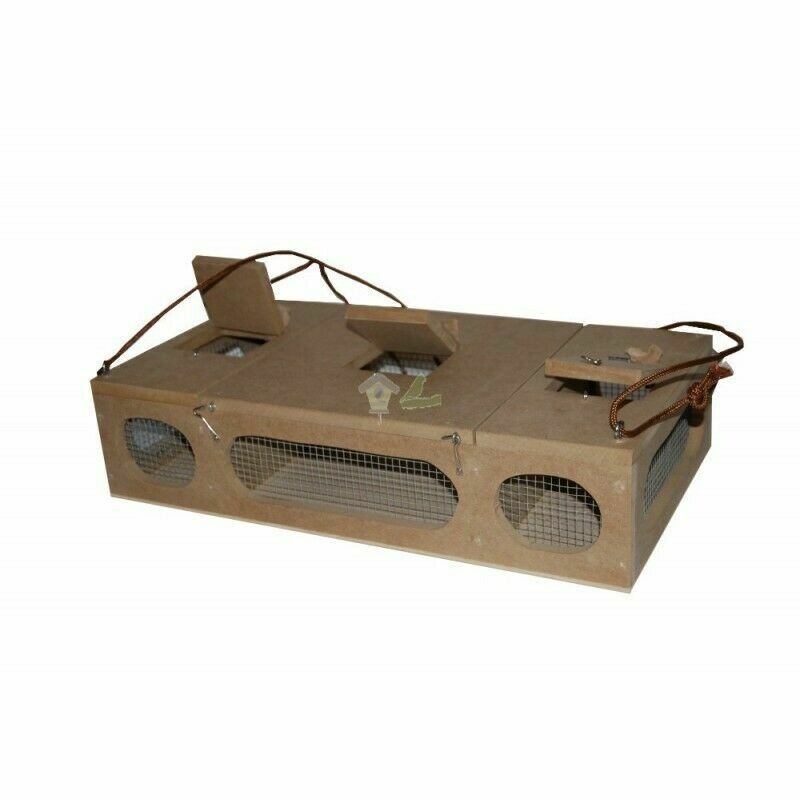 TRANSPORTÍN SILVESTRISMO 3 DEPARTAMENTOS SILVESTRISMO