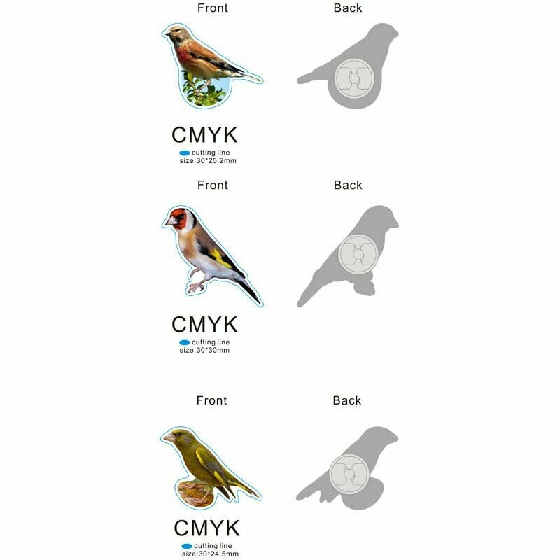 Pins Jilguero, Pardillo y Verderón 2 UNIDADES