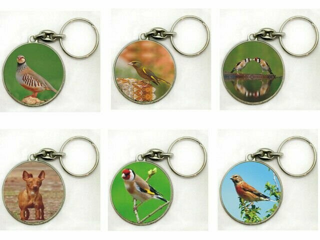 Llavero imagen animales