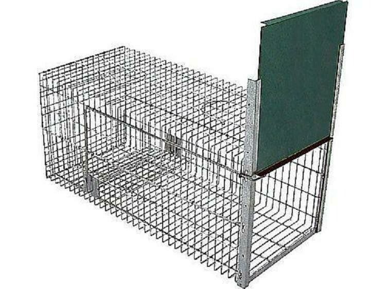 JAULA TRAMPA METALICA INOFENSIVA JAULA PARA CAPTURAS PEQUEÑA