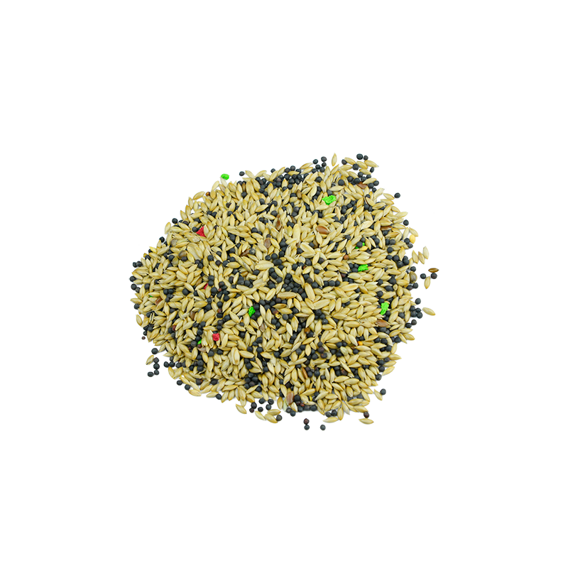 Mezcla de Semillas Turbo para Pájaros 5 KG