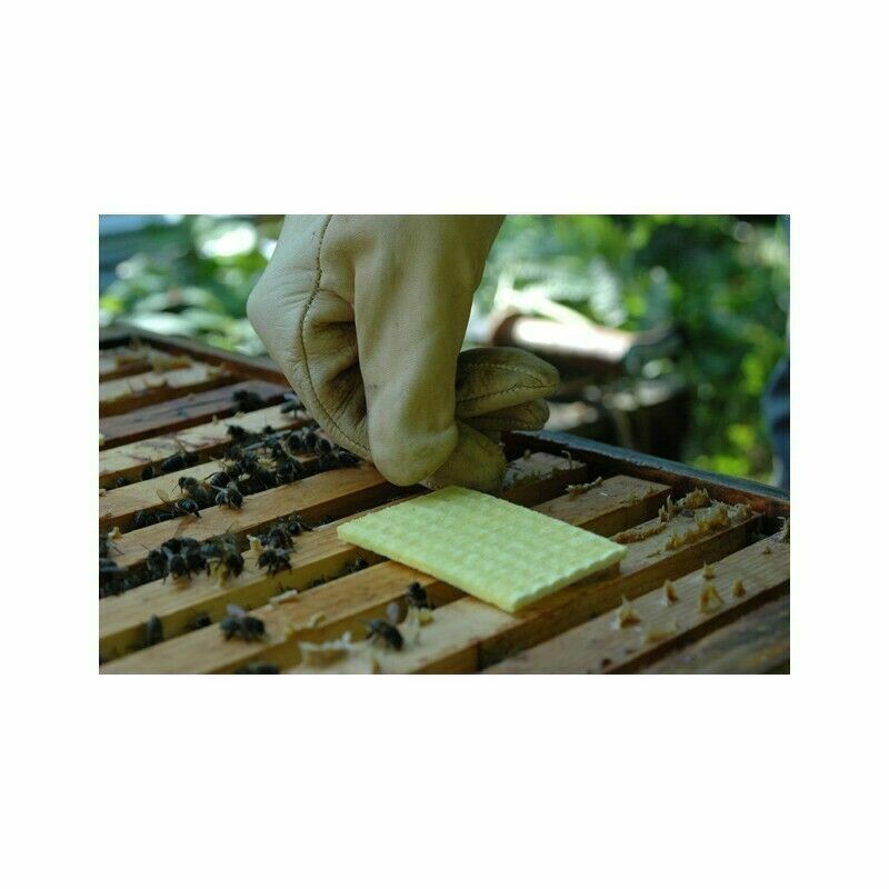 THYMOVAR TRATAMIENTO DE LA VARROA 1 TOALLITA