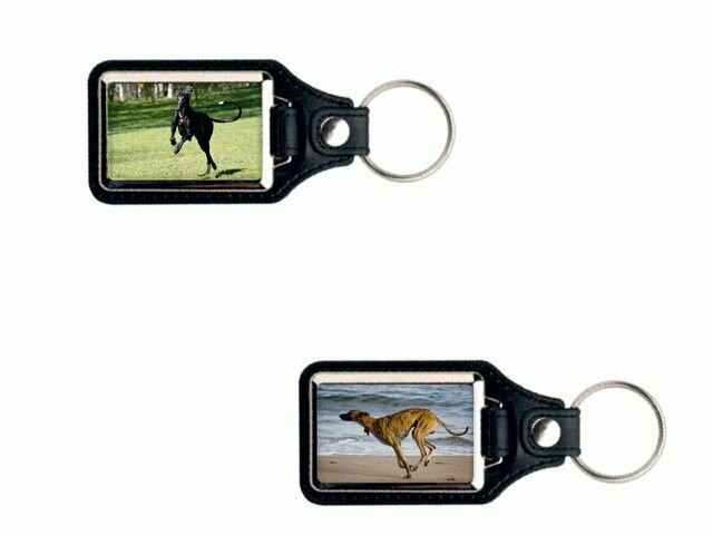 LLAVERO GALGOS CORRIENDO
