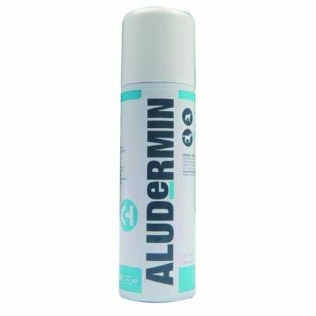 ALUDERMIN SPRAY 270 ML