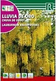 ARBOL LLUVIA DE ORO