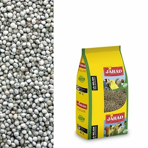 PERILLA BLANCA JARAD 3 KG