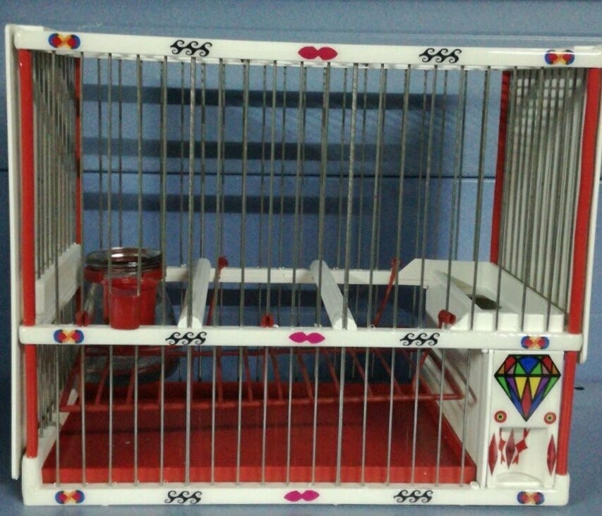 Jaula Decorada M5