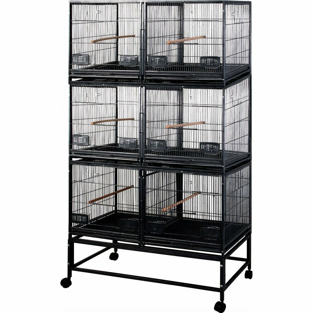 JAULA EXPOSITOR CRIADOR