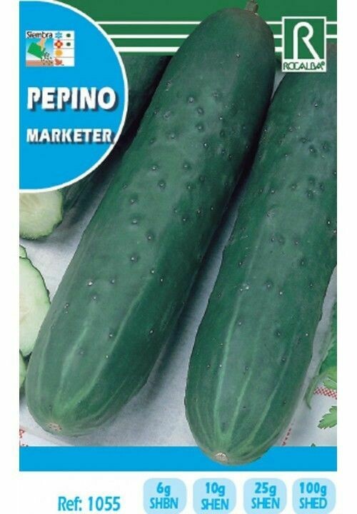 HORTALIZAS PEPINO MARKETER