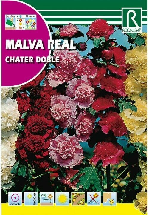 FLORES MALVA REAL