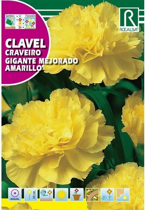 FLORES CLAVEL GIGANTE MEJORADO AMARILLO