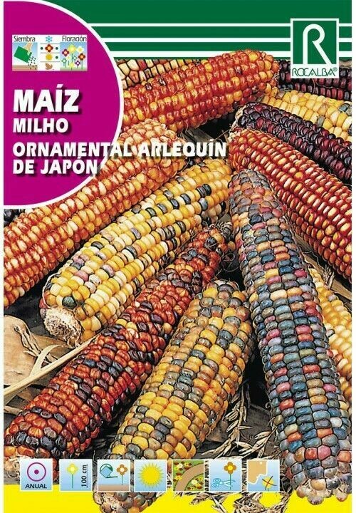 FLORES MAÍZ ORNAMENTAL ARLEQUÍN DEL JAPÓN
