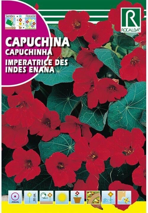 FLORES CAPUCHINA IMPERATRICE DES INDES ENANA
