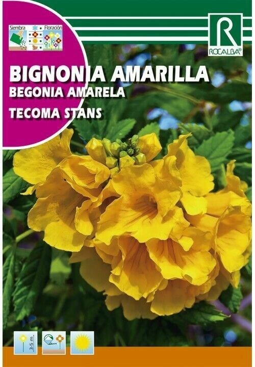 ARBOL BIGNONIA AMARILLA PLANTAS TROPICALES