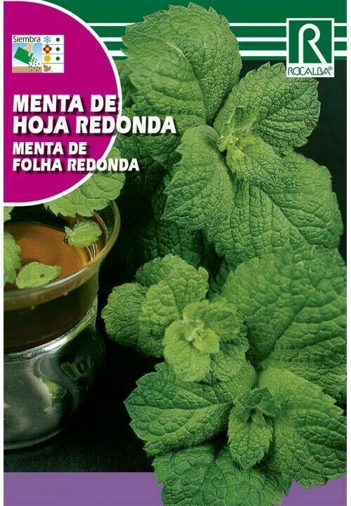 MEDICINALES, AROMATICAS Y CULINARIAS MENTA DE HOJA REDONDA