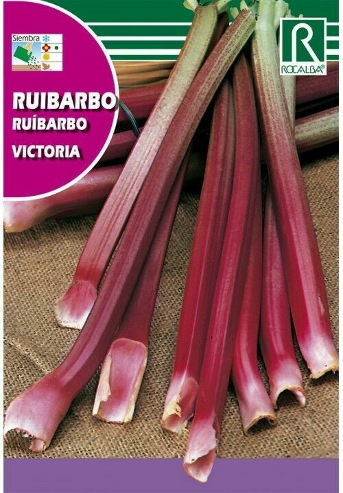 MEDICINALES, AROMATICAS Y CULINARIAS RUIBARBO