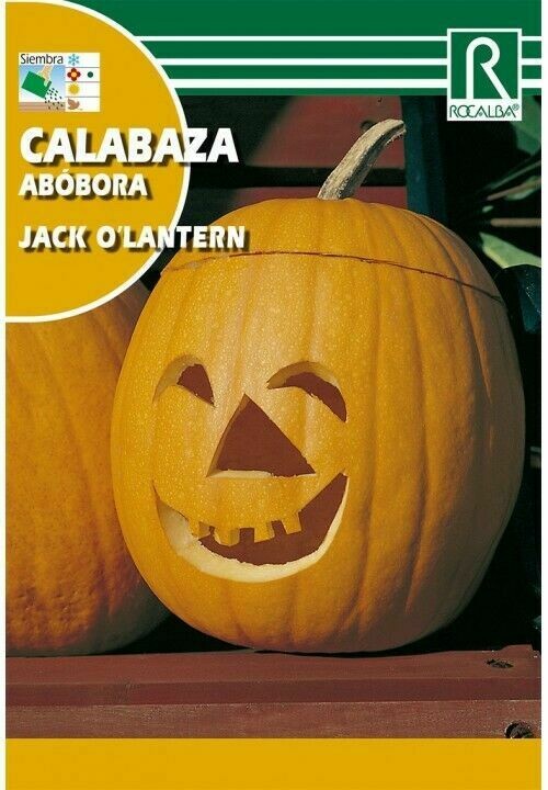 CALABAZA(Cucurbita pepo)
JACK O'LANTERN