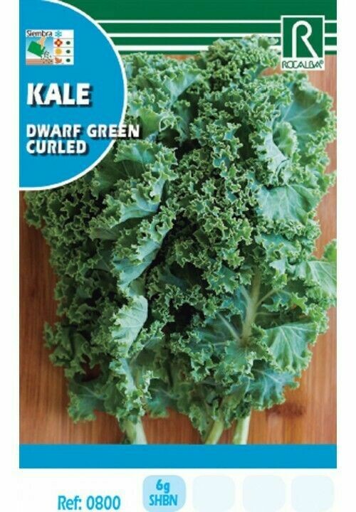 HORTALIZAS KALE DWARF GREEN CURLED