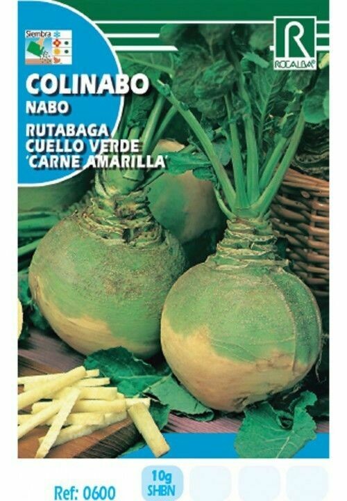HORTALIZAS COLINABO RUTABAGA CUELLO VERDE