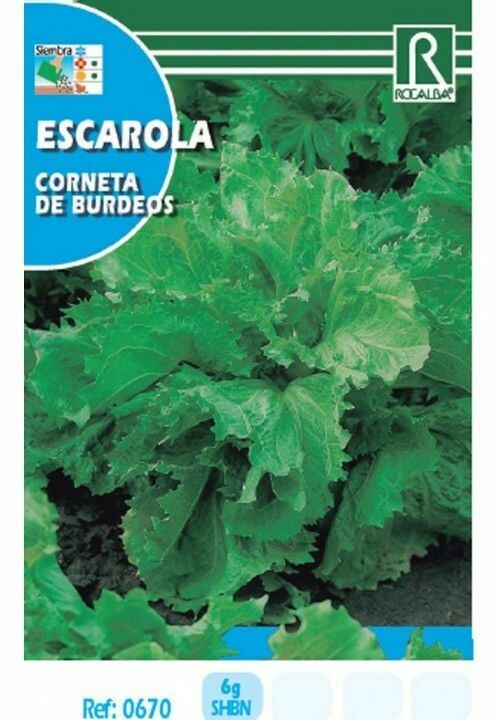 HORTALIZAS ESCAROLA CORNETA DE BURDEOS