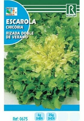 HORTALIZAS ESCAROLA RIZADA DOBLE DE VERANO