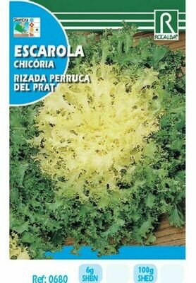 HORTALIZAS ESCAROLA RIZADA PERRUCA DEL PRAT